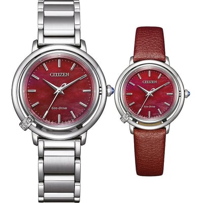 Citizen EM1090-78X Horloge - Staal - Zilverkleurig - Ø 31 mm