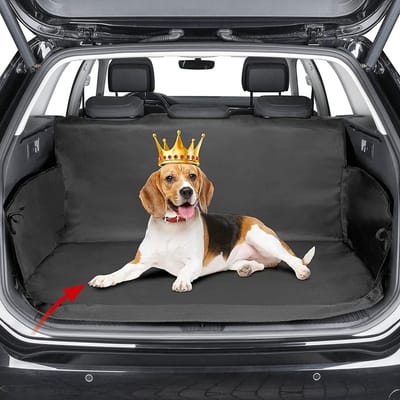 kofferbakbescherming \ hond - waterdichte kofferbakdeken voor honden / auto universele hondenbeschermingsdeken / antislip slijtvast