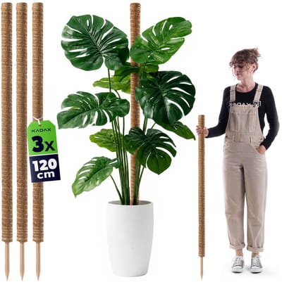 Cande kokosplantenstok 120 cm potsteun 3 st.