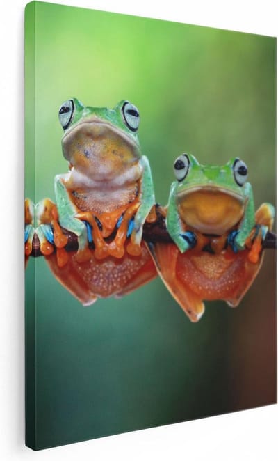 Artaza Canvas Schilderij Dieren - 30x40 cm - Klein - Wanddecoratie Kikker - Muurdecoratie Jungle - Kamer Accessoires