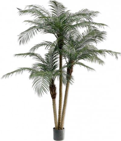 Silk-ka Luxe Kunstplant Phoenix Palm voor Binnen - Groen - Hoogte 200 cm - Exclusieve Kunstboom