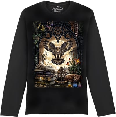 Uil The Messenger The Coloured House Longsleeve T-shirt XXL