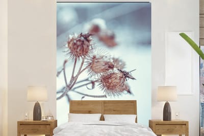 Behang - Fotobehang Planten - Winter - Sneeuw - Natuur - Breedte 145 cm x hoogte 220 cm