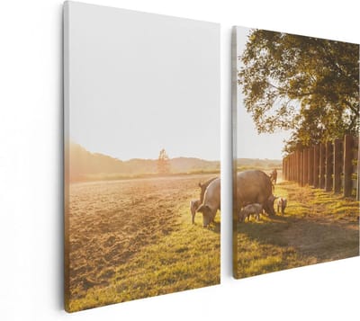Artaza Canvas Schilderij Tweeluik Varken Familie - Varkens - 80x60 - Foto Op Canvas - Canvas Print