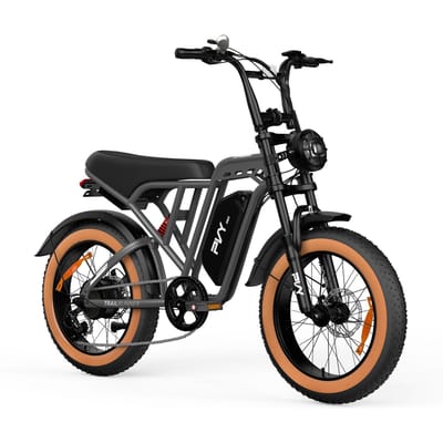 PVY A20 Elektrische All-Terrain Fiets met 48V 20Ah Afneembare Batterij zwart