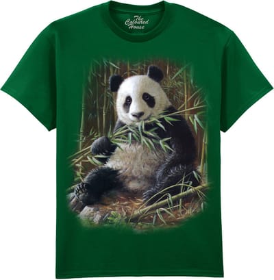 Bamboo Panda The Coloured House T-shirt XL