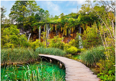 Fotobehangkoning - Behang - Vliesbehang - Fotobehang Groene Oase - Bossen - Green oasis - 150 x 105 cm