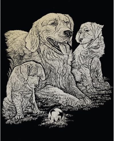 Gold Foil A4 Engraving Art - Golden Retriever