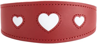 Hondenspecifieke halsband voor windhonden in rood/zwart, robuust rundleer, comfortabel en ademend, maat 37