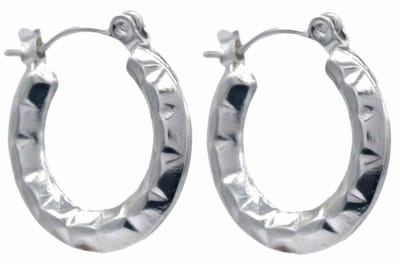 Oorbellen - Oorringen - RVS - 2 cm - Zilverkleurig