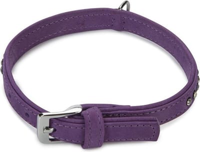 Beeztees leren halsband Buffalo Strass. Paars. 40 cm x 17 mm.