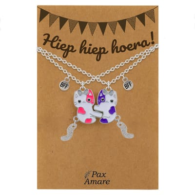 BFF Ketting voor 2 'Hiep Hiep Hoera' - Magnetische Katjes - Vriendschapsketting op Cadeau Kaartje - 45cm + 5cm verstelbaar - Zilverkleurig - Verjaardags Hanger - Pax Amare