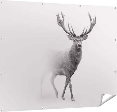 Gards Tuinposter Hert - Zwart Wit - 150x120 cm - Tuindoek - Tuindecoratie - Wanddecoratie buiten - Tuinschilderij