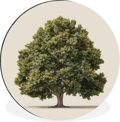 WallCircle - Wandcirkel - Muurcirkel - Eikenboom - Groen - Lichte achtergrond - Aluminium - Dibond - 30x30 cm - Binnen en Buiten