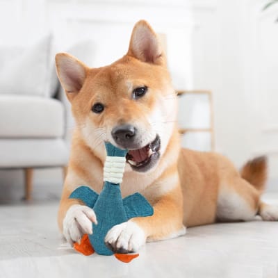 Generieke onverwoestbare hondenspeeltjes , geschikt voor kleine, middelgrote en grote rassen, knisperende en piepende pluche kauwspeeltjes voor puppy's tijdens het doorkomen van tanden, eendjesspeeltjes voor puppy's