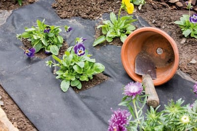 Tuinfolie - Kassafolie - Planten Beschermen - UV Bestendig - 2x50 Meter - Transparant