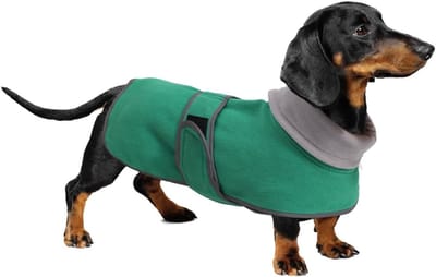 Dachshund Winterjas met Warme Thermische Voering, Hondenjassen voor Miniatuur Teckels, Buiten Hondenkleding met Verstelbare Bandjes - Groen - S
