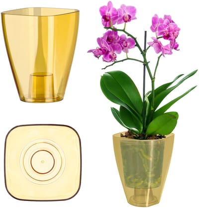 KADAX Bloempot, slanke orchideeënpot, eenvoudige plantenbak, bloempot voor orchidee, Moeras Madeliefjes, plantenbak voor keuken en woonkamer (? 9 cm, vierkant, honing)