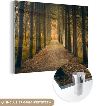 MuchoWow® Glasschilderij 120x90 cm - Schilderij acrylglas - Pad - Bomen - Bos - Foto op glas - Schilderijen