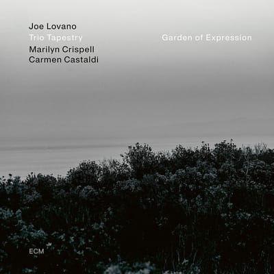 Joe Lovano, Trio Tapestry, Marilyn Crispell, Carmen Castaldi - Garden Of Expression (LP)