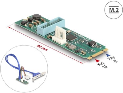Delock Converter M.2 Key B+M male to 2 x USB 5 Gbps Type-A female with 50 cm cable