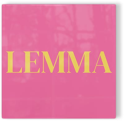 Tegeltje Haarlem Lemma - roze geel - tegeltje stad - tegeltje met tekst