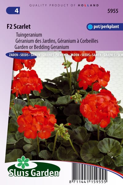 Sluis Garden - Tuingeranium F2 Rood