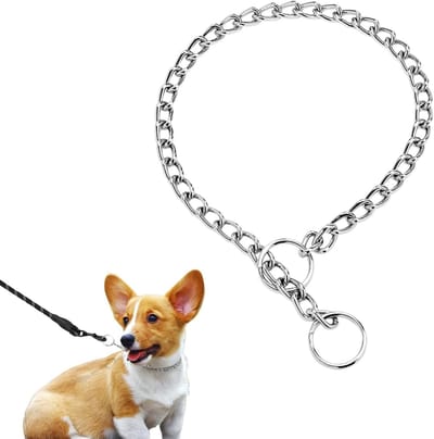 Verstelbare Rvs Hondenhalsband voor Training en Wandelen, Sterke Kettinghalsband voor Honden, Comfortabele en Duurzame Hondenhalsband