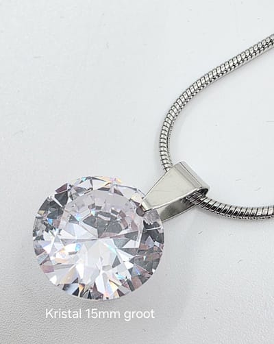 Schitterend 15 mm grote diamant vormige kristal RVS hanger met bijpassende L 45 cm RVS ketting.