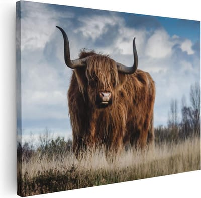 Artaza Canvas Schilderij Hooglander - 40x30 cm - Klein - Muurdecoratie Gewei - Wanddecoratie Woonkamer - Kamer Accessoires