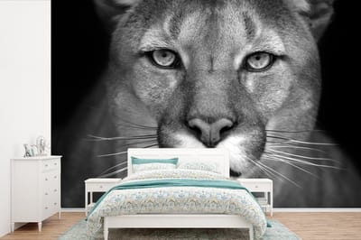 Behang - Fotobehang Panter - Wilde dieren - Zwart - Wit - Breedte 600 cm x hoogte 400 cm
