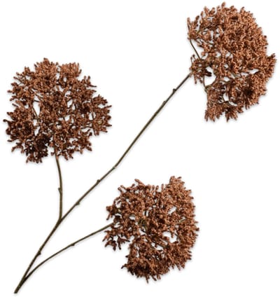 Silk-ka Kunstbloem-Zijden Bloem-Kunsttak Trachelium Bruin 85 cm