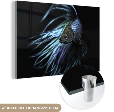 MuchoWow® Glasschilderij 120x80 cm - Schilderij acrylglas - Vis - Staart - Zwart - Foto op glas - Schilderijen