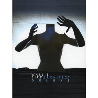 Architect - Wallis Bird
