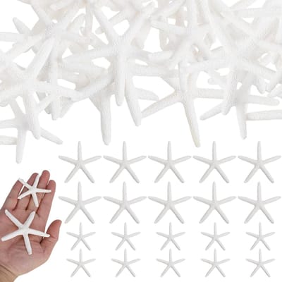 20 Stuks Sterrenzeester Decoratie van Hars voor DIY Knutselen, Aquariums en Strandthema Feesten