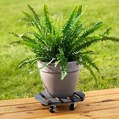 Plantenroller Ø 300 mm - 60 kg Draagvermogen, Weerbestendig, Outdoor Transporthulpmiddel voor Planten