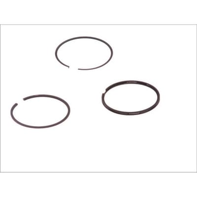 Goetze Engine Zuigerveren set GOETZE 08-209800-00