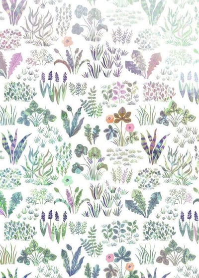 Fotobehang - Flower Farm 200x280cm - Vliesbehang