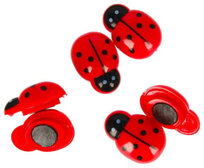 magneten Lieveheersbeestje 3D 6 stuks op kaart