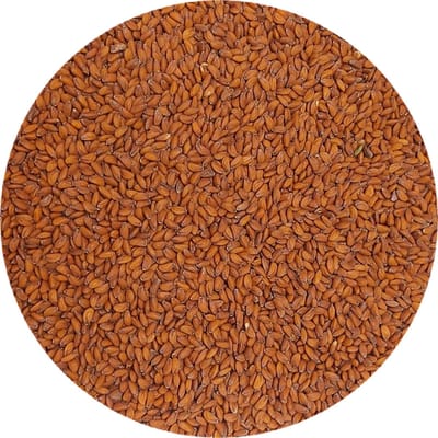 Microgreens Holland Seeds / Tuinkers / Tuinkers Microgreens / Microgroenten / Kiemgroenten zaden 1kg