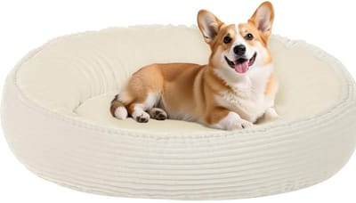 Famanu – Rond Honden- en Kattenbed voor Middelgrote Huisdieren – Zacht en Knuffelbaar Ligbed met Afneembare Hoes en Antislip Bodem