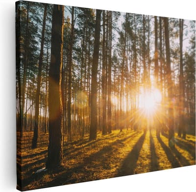 Artaza Canvas Schilderij Zonsondergang - 40x30 cm - Klein - Wanddecoratie Bos - Muurdecoratie Landschap - Kamer Accessoires Natuur