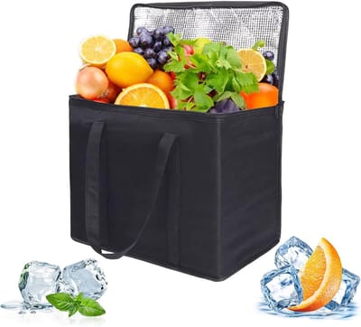 Vouwbare Koeltas voor Picknick en Lunch, Thermische Tas met Warmtefunctie, 33 x 25 x 25 cm, Ideaal voor Buitenactiviteiten
