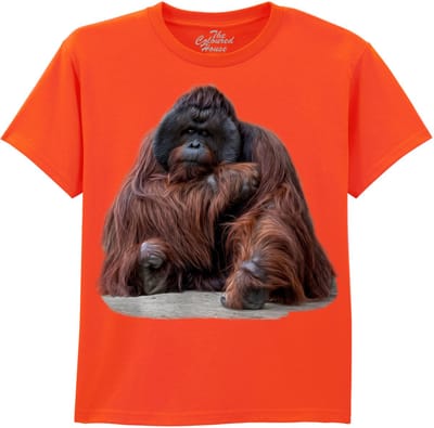 KIDS Wisdom Beyond Words - Orangutan The Coloured House KIDS T-shirt XL