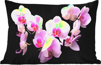 Buitenkussens - Tuin - Orchidee - Bloemen - Roze - Flora - 50x30 cm
