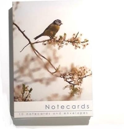 Leonard Smith Notecards ~ Kaartenmapje Vinkjes