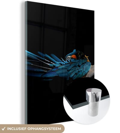 MuchoWow® Glasschilderij 120x160 cm - Schilderij acrylglas - Vogel - Veren - Tak - Zwart - Foto op glas - Schilderijen