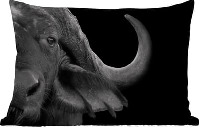 Buitenkussens - Tuin - Buffalo - Dieren - Zwart - Wit - 50x30 cm