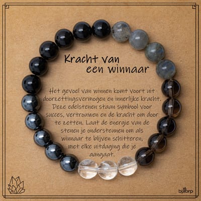 Bixorp Labradoriet + Hematiet + Onyx + Rookkwarts Armband op Cadeau Kaartje - Winnaar - 8mm / 18cm Edelsteen Kralenarmband - Inclusief Cadeau Envelop