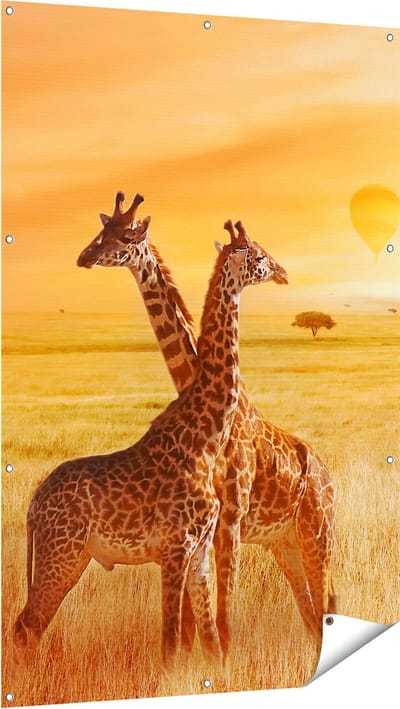 Gards Tuinposter Twee Giraffen met Twee Oranje Luchtballonnen - 100x150 cm - Tuindoek - Tuindecoratie - Wanddecoratie buiten - Tuinschilderij